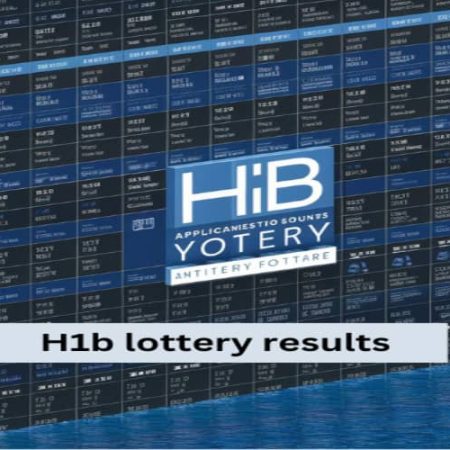 What to Do If You Didn’t Win the H1B Lottery results in 2024