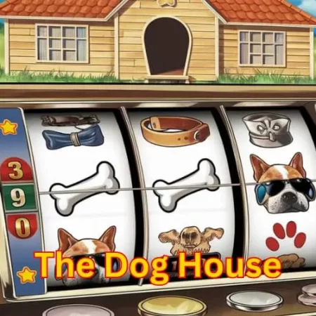 The Dog House Slot: Unleash Big Wins with This Exciting Casino Game